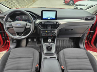 Ford Kuga III 2020, benzyna 150 KM, salon Polska, I wł. Rzeszów - zdjęcie 9