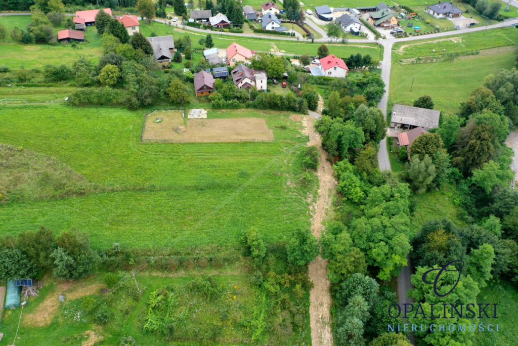 Działka budowlana 21ar z warunkami zabudowy na dom Błędowa Tyczyńska - zdjęcie 6