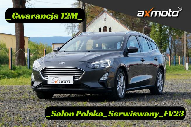Ford Focus Salon Polska Serwisowany Faktura pełna 23% Mirsk - zdjęcie 1
