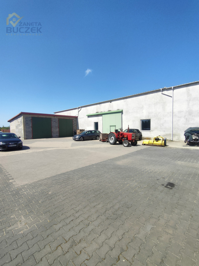 Sprzedam gospodarstwo rolne 14 ha w Aleksandrii Aleksandria - zdjęcie 11