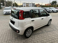 Fiat Panda 1,2 69KM  Klimatyzacja Orzech - zdjęcie 6