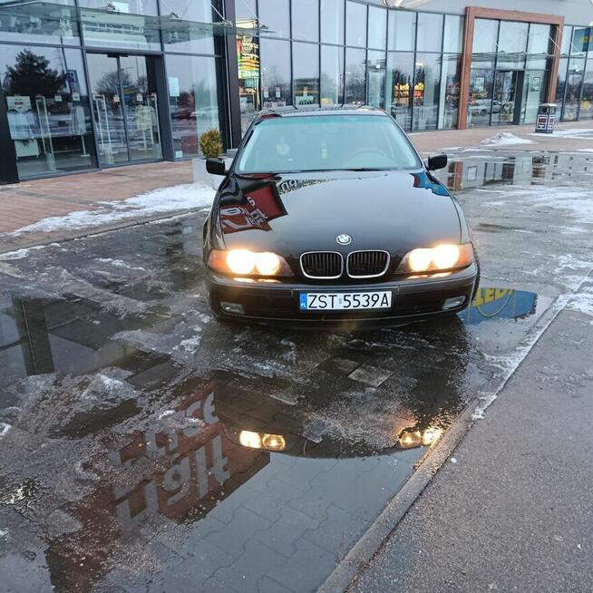 BMW 520i E39 1998 Stargard - zdjęcie 2