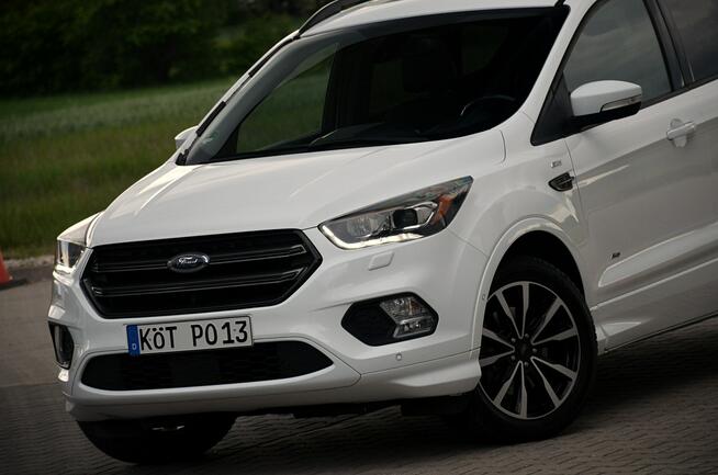 Ford Kuga 1,5*180KM*St-line*Bi-Xenon*Panorama*El klapa*Navi*4x4 Ostrów Mazowiecka - zdjęcie 8