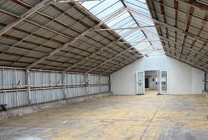 Lokal na wynajem Sulejówek Sulejówek - zdjęcie 1