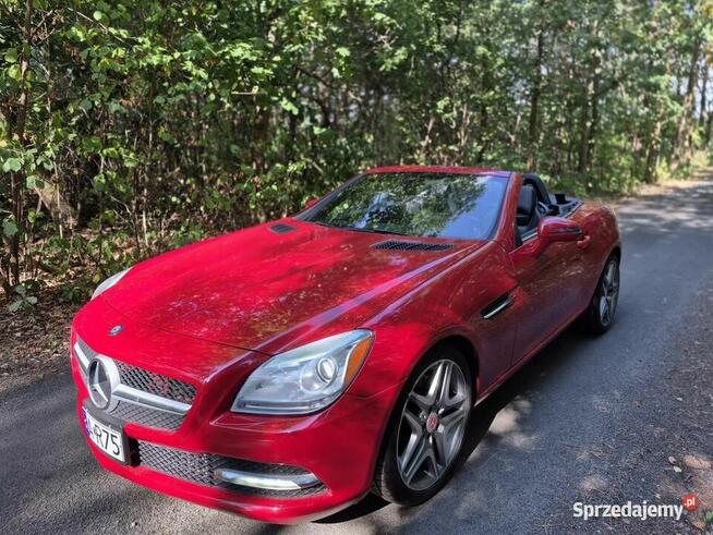 Mercedes slk r172 350 Grodzisk Mazowiecki - zdjęcie 8