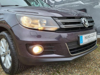 Volkswagen Tiguan *navi*alu*serwis*super stan*z Niemiec* Dąbrowa - zdjęcie 12