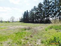 Zamieszkaj w sąsiedztwie lasu!