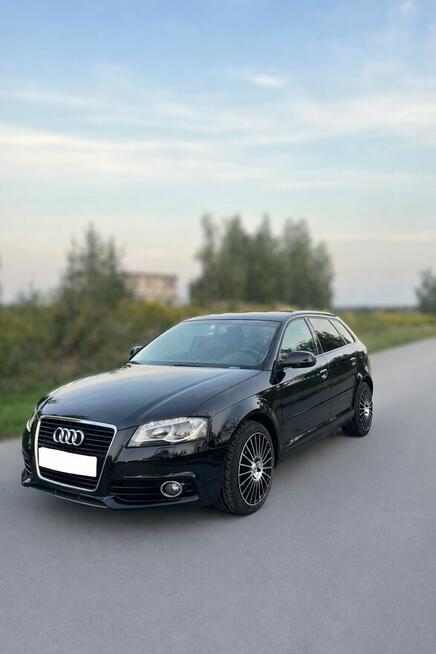 Audi A3 8P 2.0 TDI 140KM 2011, bogata wersja Kraśnik - zdjęcie 2