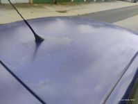 Seat Ibiza 3 2003 r 1.2 benzyna klimatyzacja oszczędne Gliwice - zdjęcie 3