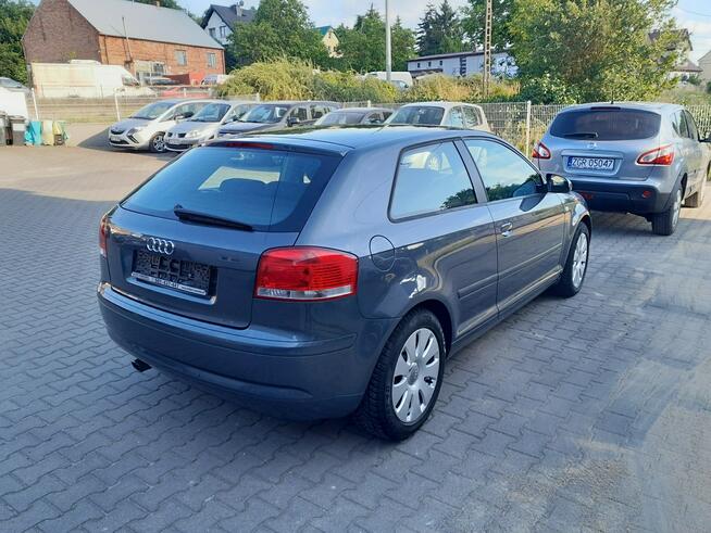 Audi A3 1.6i  103 PS MPI alufelgi klimatronik parktronik stan BDB Gryfino - zdjęcie 3