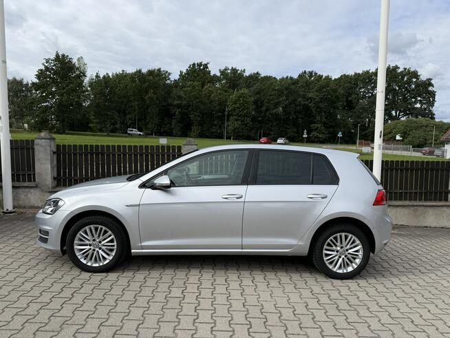 Volkswagen Golf 1,2 tsi   ładny świeżo zarejestrowany z Niemiec. Bolesławiec - zdjęcie 3