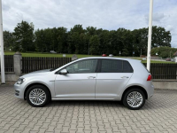 Volkswagen Golf 1,2 tsi   ładny świeżo zarejestrowany z Niemiec. Bolesławiec - zdjęcie 3