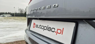 Kia Pro_cee'd Paproć - zdjęcie 10