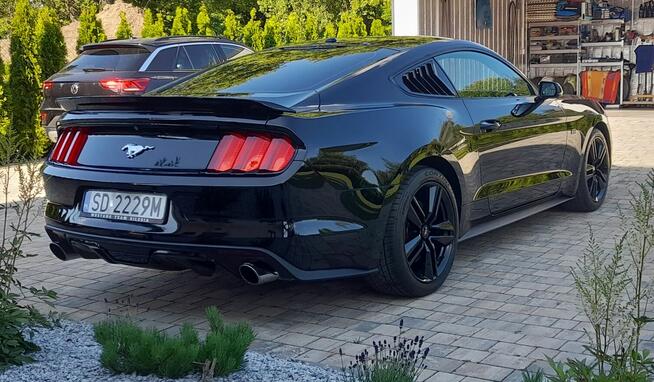 Mustang turbo, performance pack + premium pack + modyfikacje Chruszczobród - zdjęcie 8