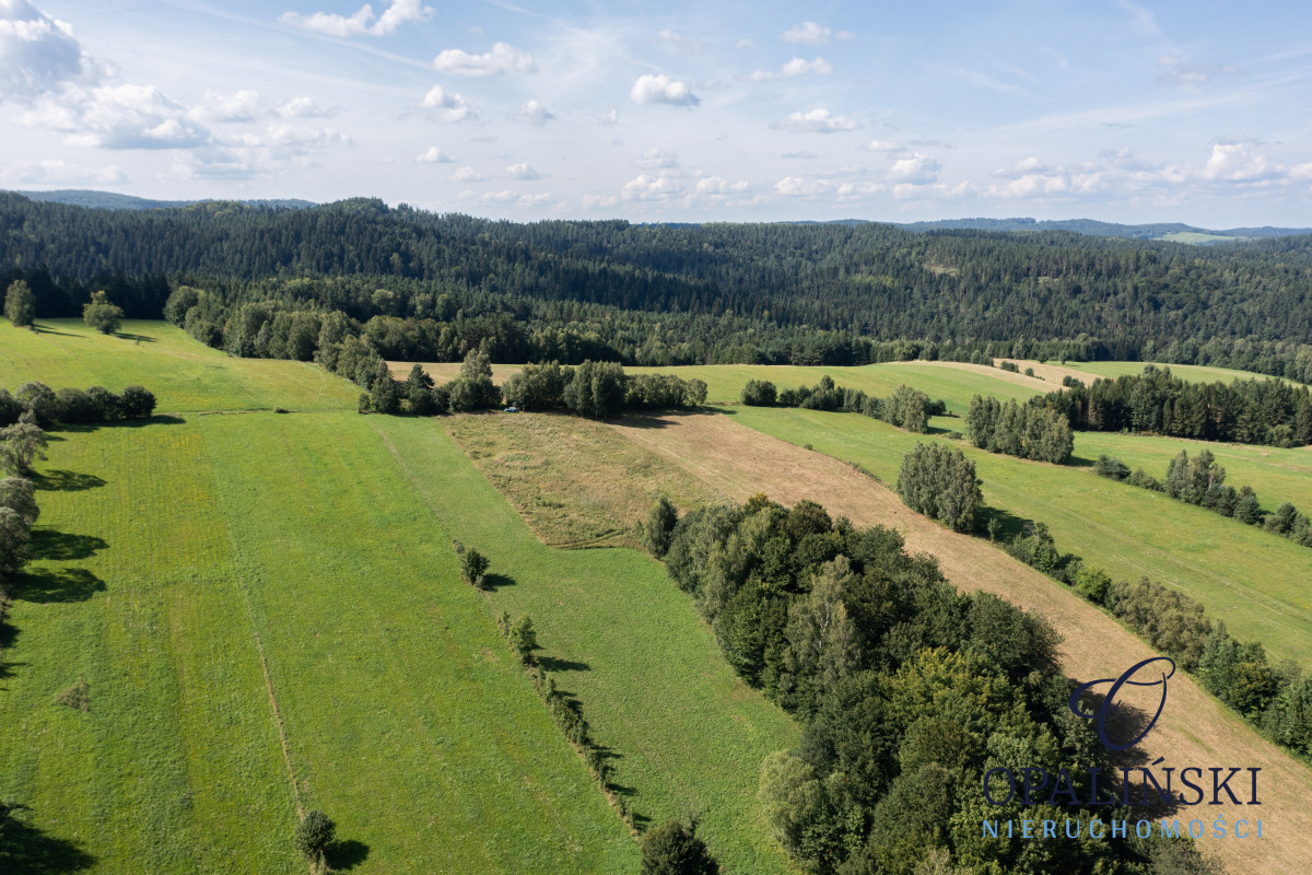 Panorama | Zacisze | Zainwestuj w Bieszczadach | Bukowiec - zdjęcie 4