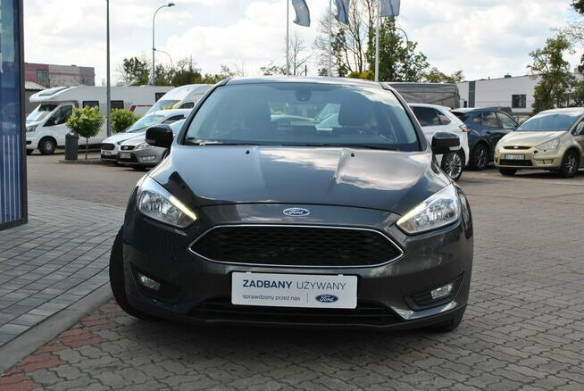 Hatchback GoldX 1,6 Benzyna 105KM ASO Forda Białystok - zdjęcie 3