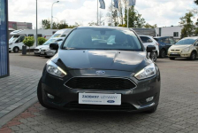 Hatchback GoldX 1,6 Benzyna 105KM ASO Forda Białystok - zdjęcie 3