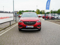 Opel Grandland X Lipówki - zdjęcie 3