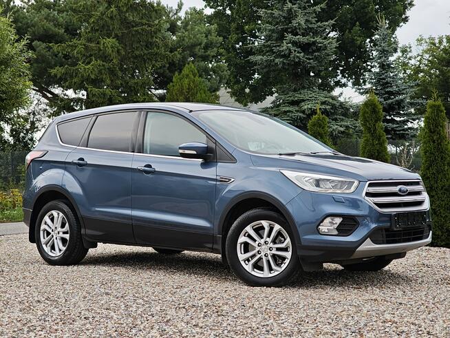Ford Kuga Sadlno - zdjęcie 2