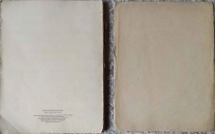 Szkoła Miechowania i Artykulacji Akordeonowej Szczecin - zdjęcie 6