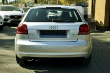 Audi A3 1,6TDI Klima, alu, Xenony, 2009r. Płock - zdjęcie 5