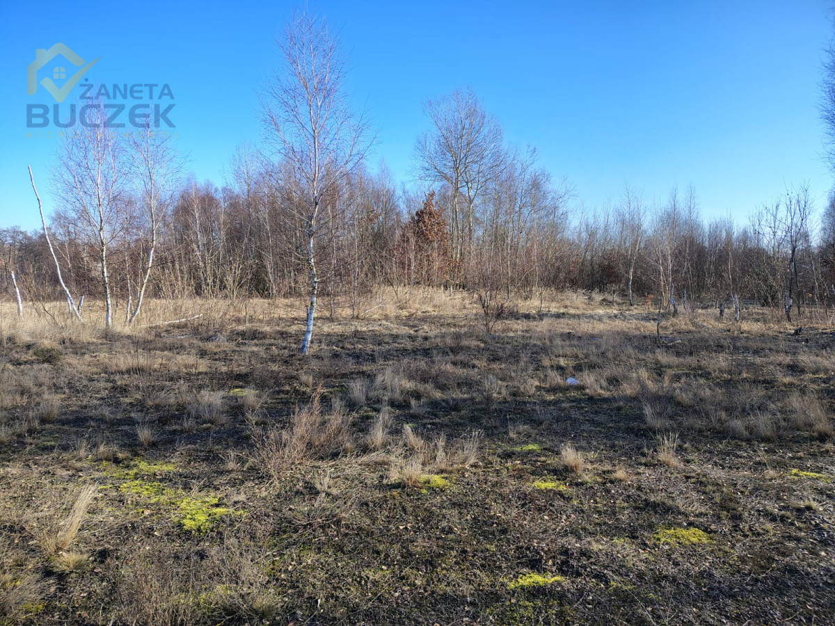 Sprzedam działki budowlane w Nowych Mostkach Nowe Mostki - zdjęcie 7