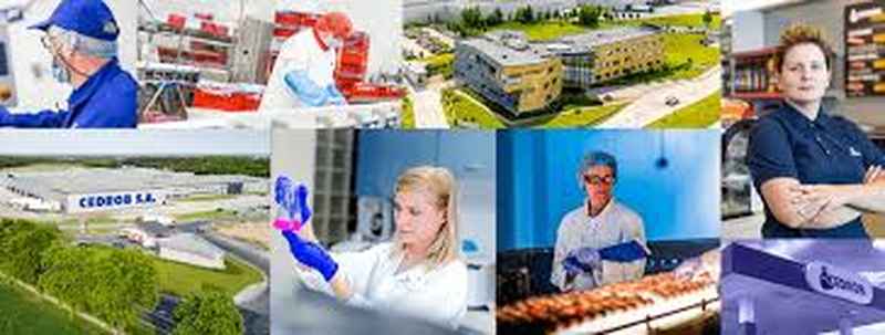 Pracownik produkcji z Zakładzie Surowców Paszowych Ujazdowo - zdjęcie 5