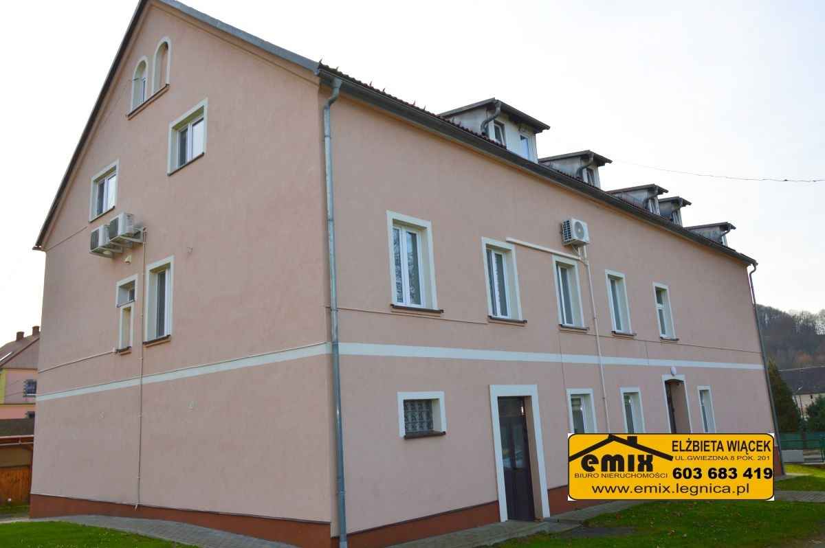 2 pokojowe mieszkanie w Wojcieszowie, ogródek i altanka w cenie Wojcieszów - zdjęcie 12