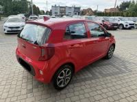 Kia Picanto 1,0 67KM  Klimatyzacja  Kamera  CarPlay Orzech - zdjęcie 6