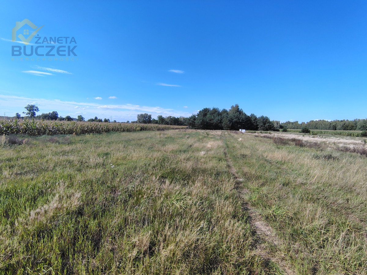 Atrakcyjna działka 1450 m² z MPZP | Dachowa | Dachowa - zdjęcie 1