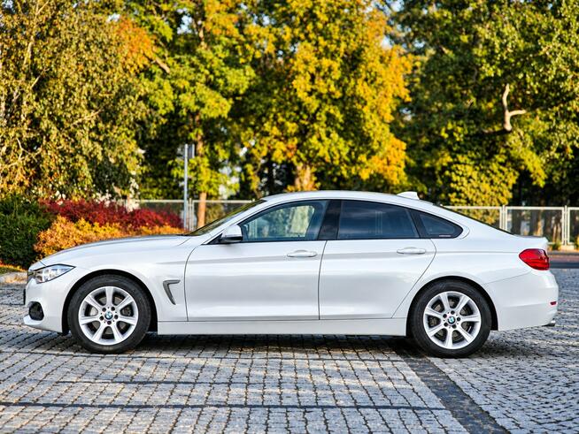 BMW 420 Sadlno - zdjęcie 5