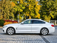 BMW 420 Sadlno - zdjęcie 5