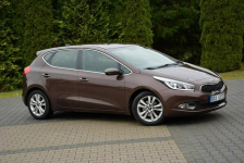 Platinum Lift Navi Ledy Kamera Klimatronic Matrix Braun Alu16 ASO Kia Ostrów Mazowiecka - zdjęcie 11