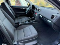Audi A3 1.6MPI 102KM Sportback z Niemiec Zadbany Facelift Ocice - zdjęcie 11