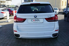BMW X5 zarejestrowany, ubezpieczony ,jasna skóra, atrakcyjny przebieg Opole - zdjęcie 9