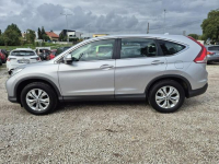 Honda CR-V 4x4 Bydgoszcz - zdjęcie 11