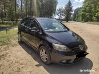 Vw golf 5plus 2006r Stężyca - zdjęcie 2