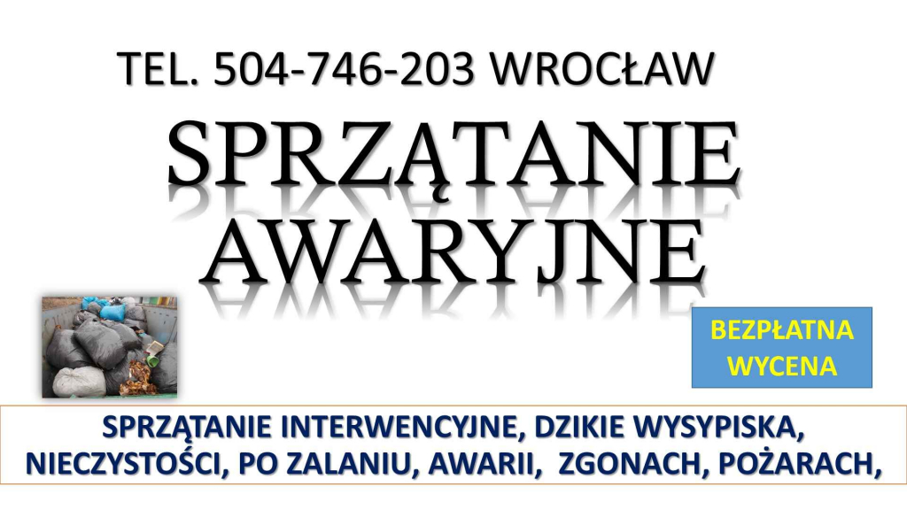 Sprzątanie interwencyjne, t. 504746203, Wrocław, z podrzuconych śmieci Psie Pole - zdjęcie 3