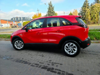 Opel Crossland X 1,2 83KM  Alu Klima Import Raty Opłaty ASO !!! Łęczyca - zdjęcie 6