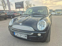 1.6B Ładny Miniaczek Gniewkowo - zdjęcie 2