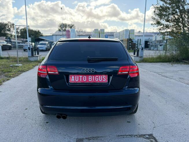 Audi A3 Climatronic   wymieniony rozrząd ledy xsenon automat navi Lębork - zdjęcie 7