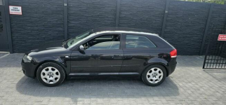 Audi A3 2005r 1.6 Benzyna PIĘKNA z klimatyzacją Brzoza - zdjęcie 4