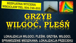 Odgrzybianie mieszkania, cena, tel. 504-746-203. Wrocław. pleśń, grzyb Psie Pole - zdjęcie 2