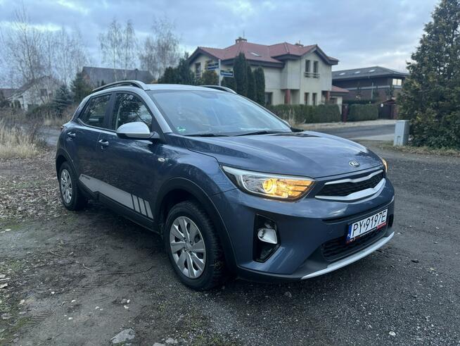 Kia Stonic Super stan  NISKI PRZEBIEG Poznań - zdjęcie 8