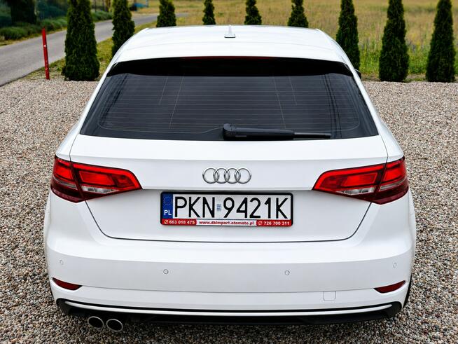 Audi A3 Sadlno - zdjęcie 7