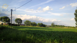 Działka w Kopytowie 34 470 m2 przy DK92