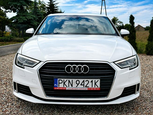 Audi A3 Sadlno - zdjęcie 2