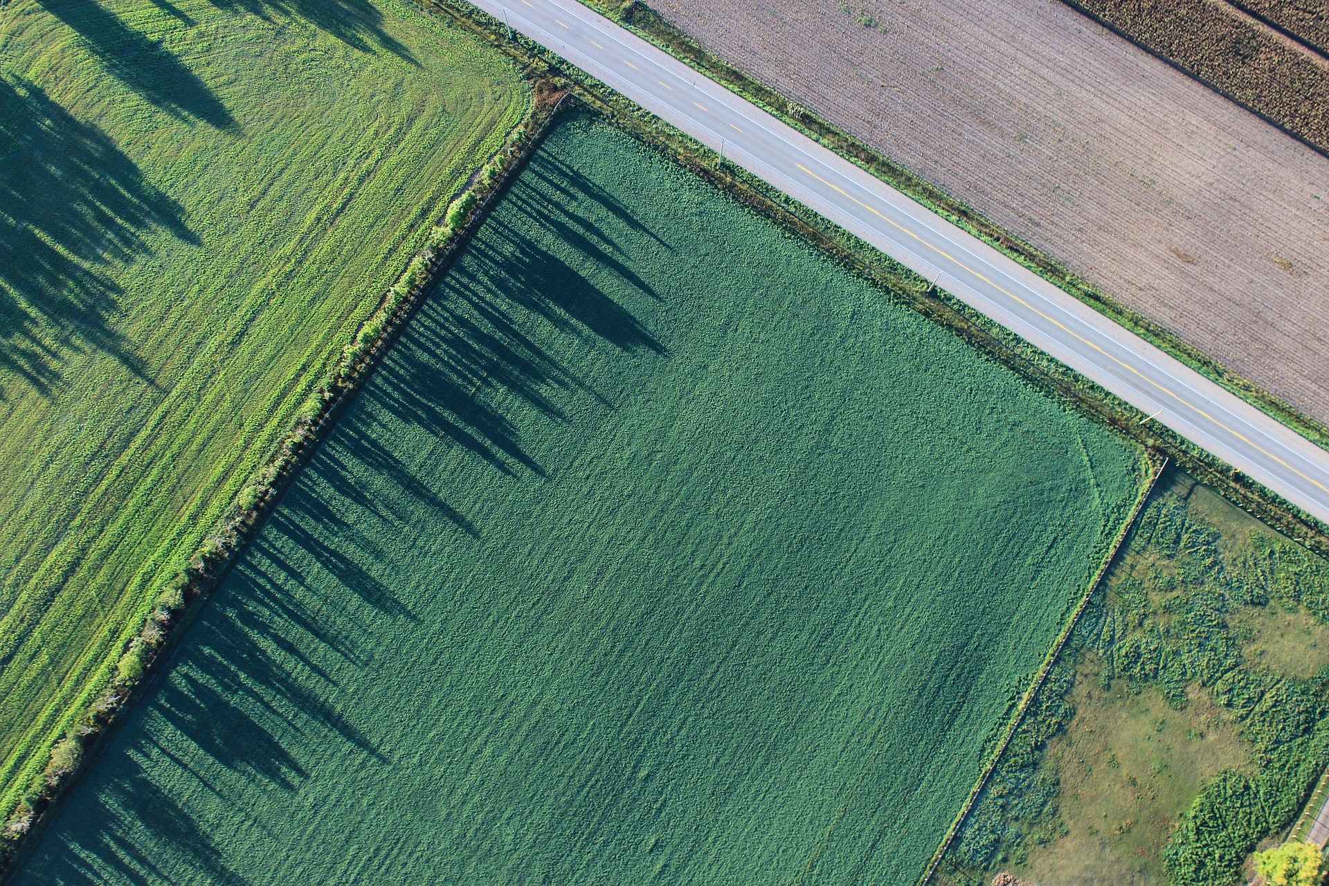 Kreda nawozowa Granucal Omya dostępna luzem Morawica - zdjęcie 1