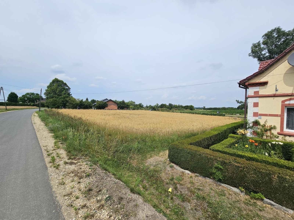 Działka Budowlana (2000 m2) MEDIA (Brzozowiec) Brzozowiec - zdjęcie 12