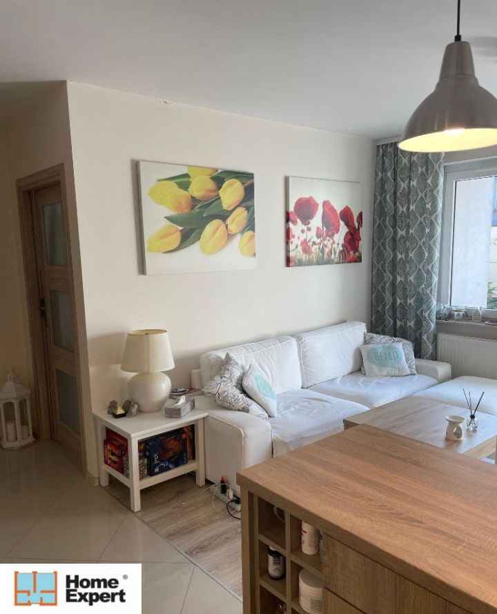 2pok, 46met, okolice Tarnogajskiej TARAS/OGRÓD/2013 (Wrocław) Krzyki - zdjęcie 6